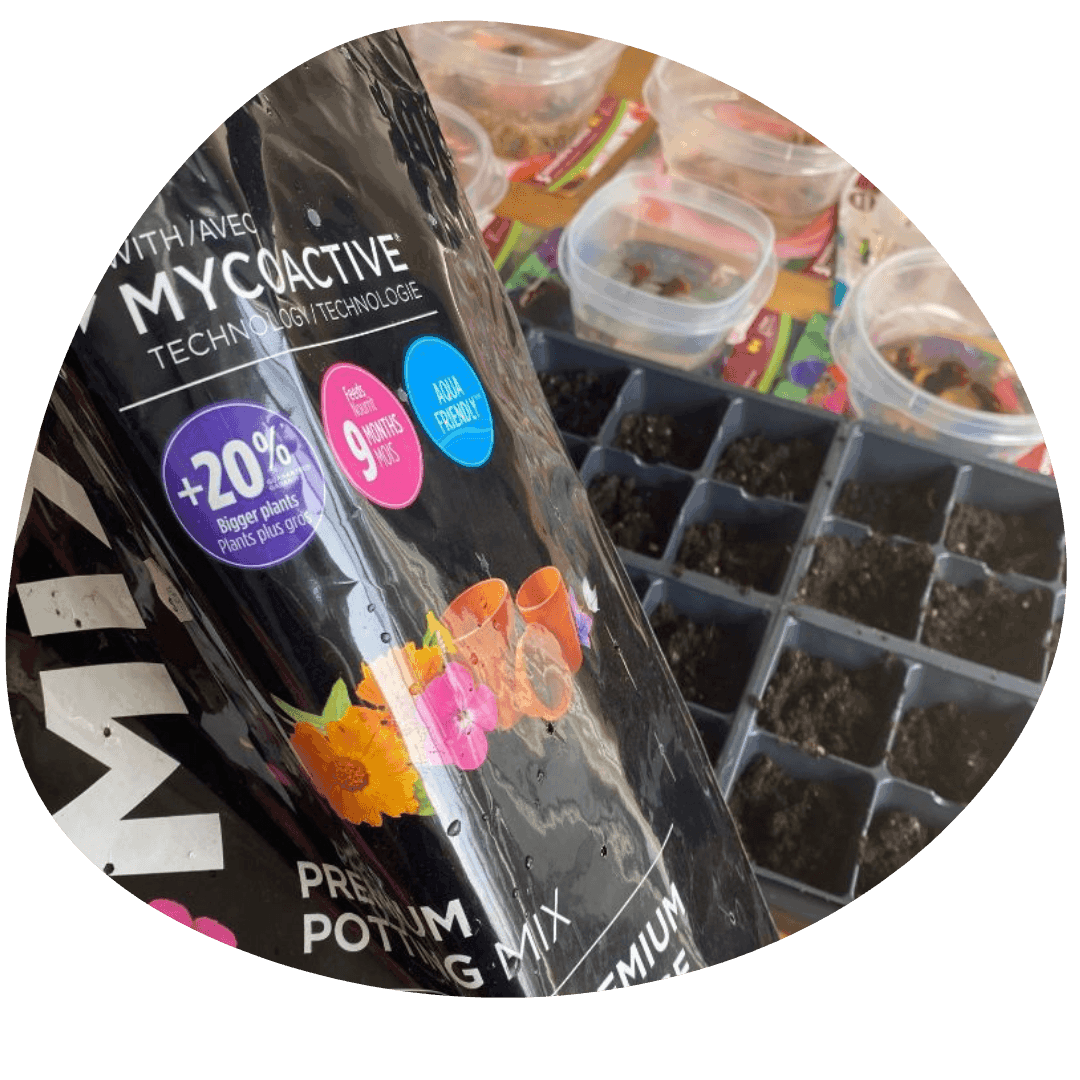 Potting soil and cell sheet